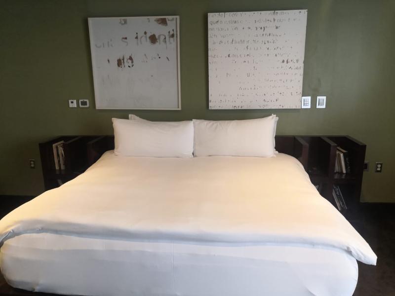 Demetria Hotel Guadalajara Bagian luar foto